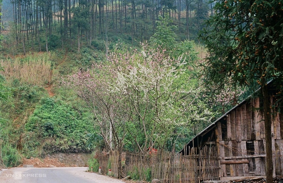 Hà Giang trong mắt chàng trai người Tày 5