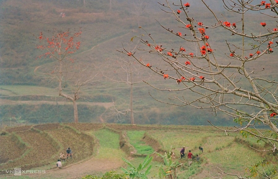 Hà Giang trong mắt chàng trai người Tày 6