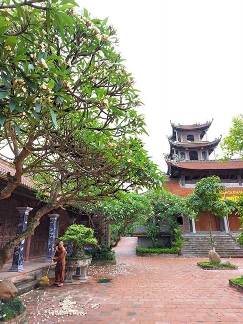 Một góc khuôn viên Chùa Tiêu Dao Một góc khuôn viên Chùa Tiêu Dao