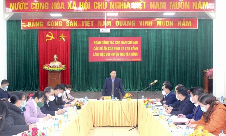 Phó Bí thư Thường trực Tỉnh ủy, Chủ tịch HĐND tỉnh Cao Bằng Triệu Đình Lê  phát biểu tại buổi làm việc