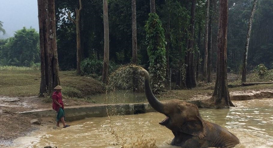 10 khu bảo tồn động vật hoang dã thế giới 2