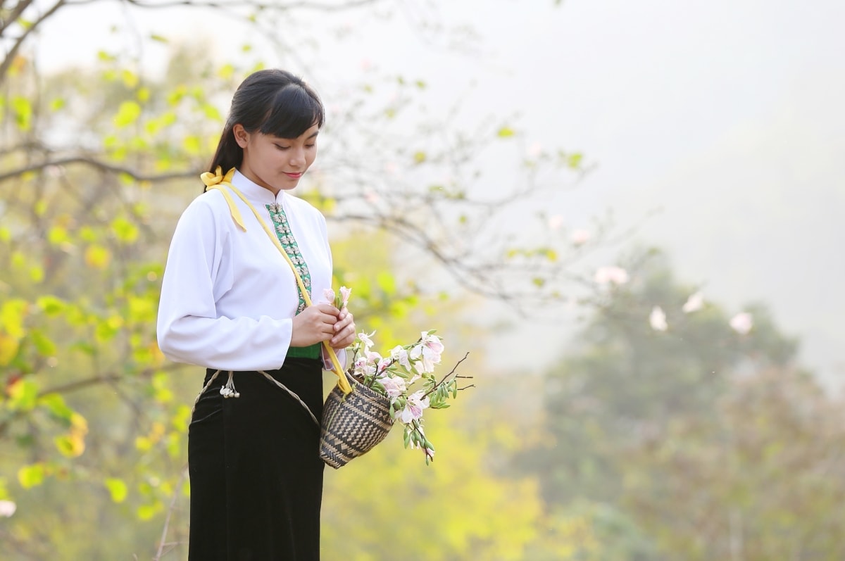 Màu trắng tinh khôi của hoa ban thường được ví như vẻ đẹp trong sáng của thiếu nữ miền sơn cước. Màu trắng tinh khôi của hoa ban thường được ví như vẻ đẹp trong sáng của thiếu nữ miền sơn cước.