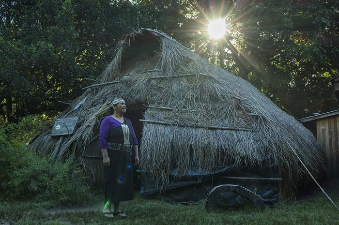 Phụ nữ Mapuche trước ngôi nhà lá truyền thống của họ Phụ nữ Mapuche trước ngôi nhà lá truyền thống của họ