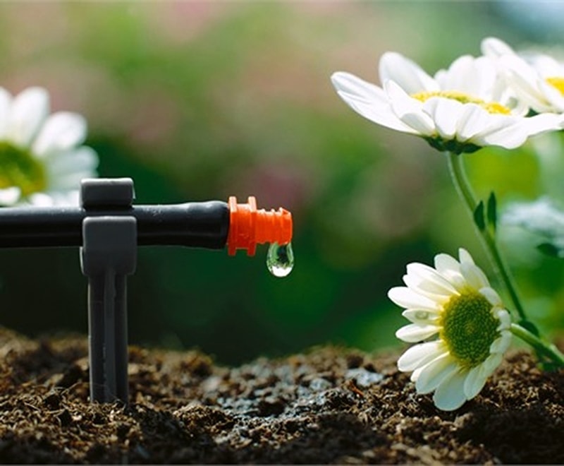 Hệ thống tưới nhỏ giọt