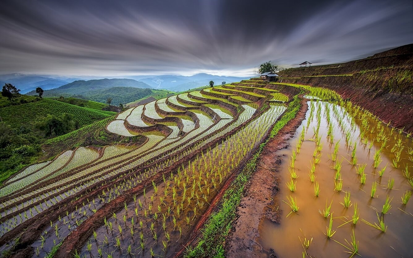 Ruộng bậc thang ở vùng đông bắc Thái Lan