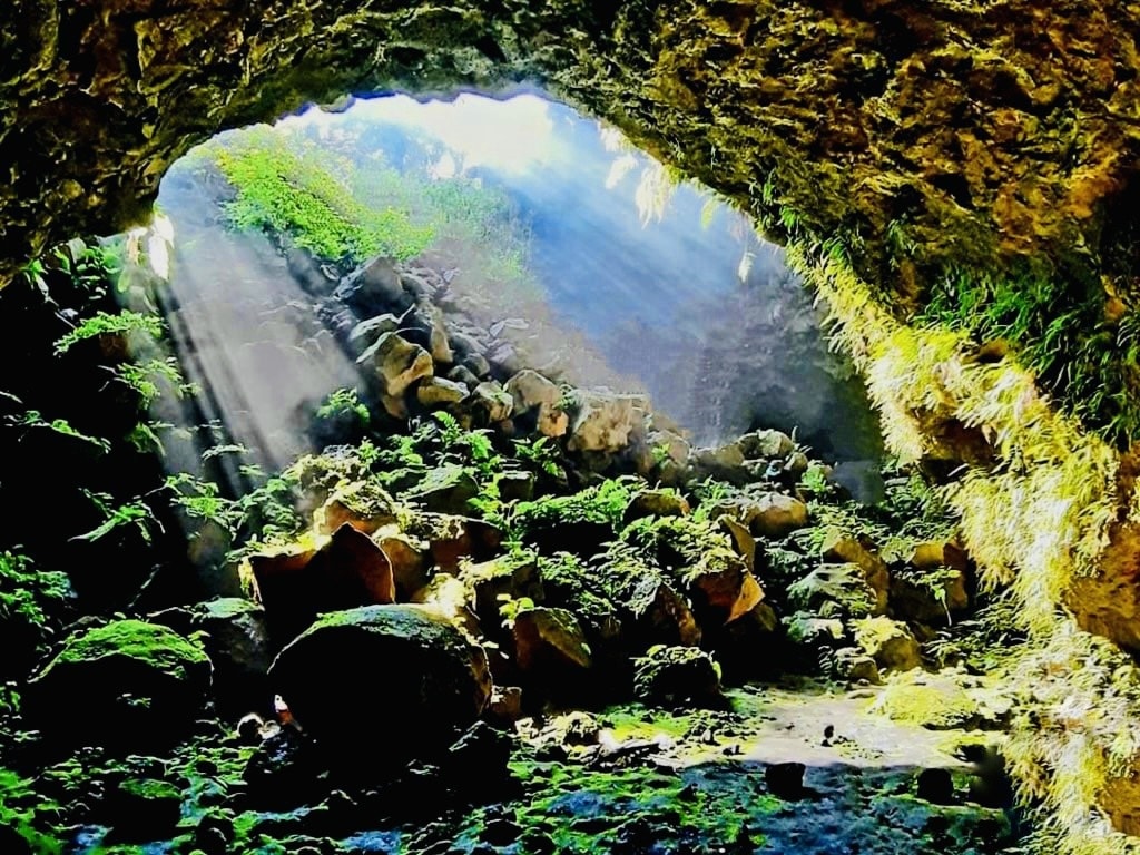 Tại hang động nhiệt độ khá ổn định khoảng 24 độ, khí hậu mát mẻ vô cùng. Đây là cụm hang động núi lửa dài nhất Đông Nam Á, gồm hơn 100 hang động có kích thước và cấu tạo khác nhau được hình thành do Núi lửa Chư Bluk phun trào