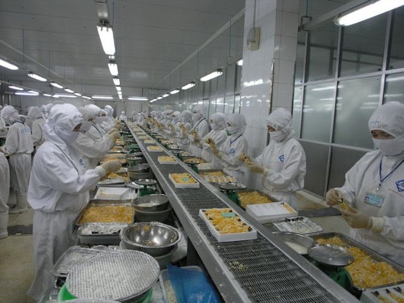 Chế biến tôm xuất khẩu sang thị trường Mỹ tại một nhà máy ở Sóc Trăng - Ảnh: TTO Chế biến tôm xuất khẩu sang thị trường Mỹ tại một nhà máy ở Sóc Trăng - Ảnh: TTO