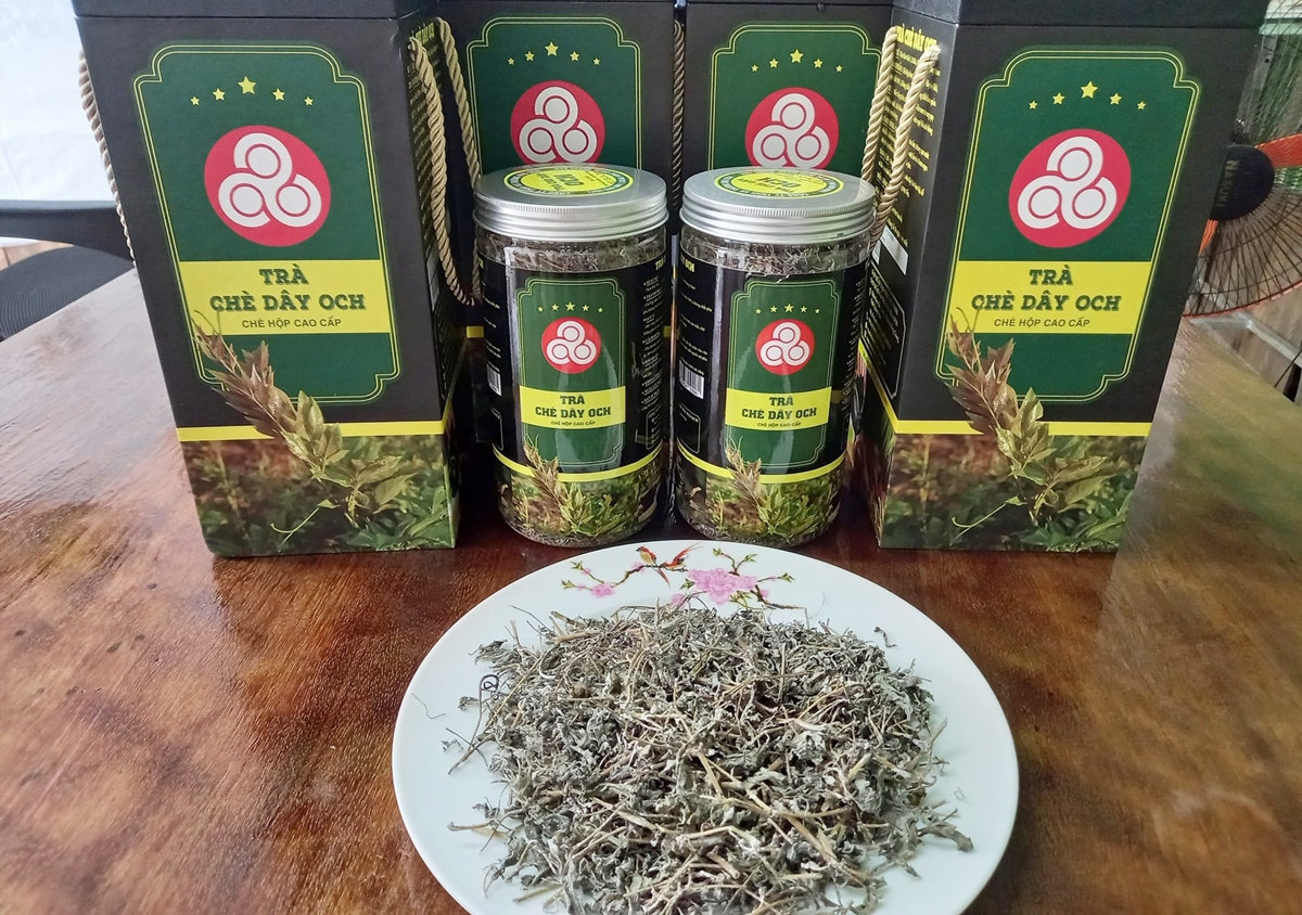  Sản phẩm trà chè dây OCH. (Ảnh: M.L)