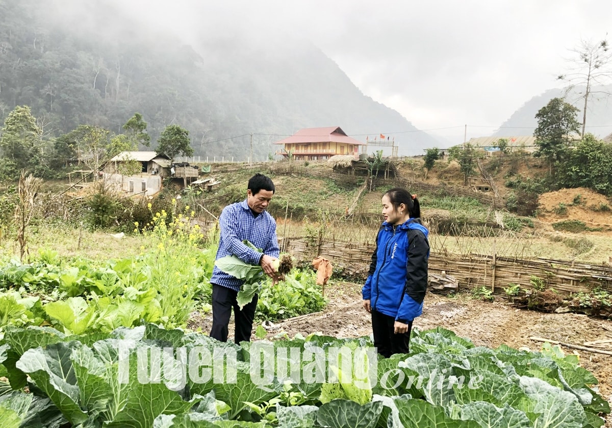 Bí thư chi bộ, Trưởng thôn, Người có uy tín Dương Minh Toàn hướng dẫn người dân trồng rau màu, tham gia vào chuỗi liên kết của Hợp tác xã Bí thư chi bộ, Trưởng thôn, Người có uy tín Dương Minh Toàn hướng dẫn người dân trồng rau màu, tham gia vào chuỗi liên kết của Hợp tác xã