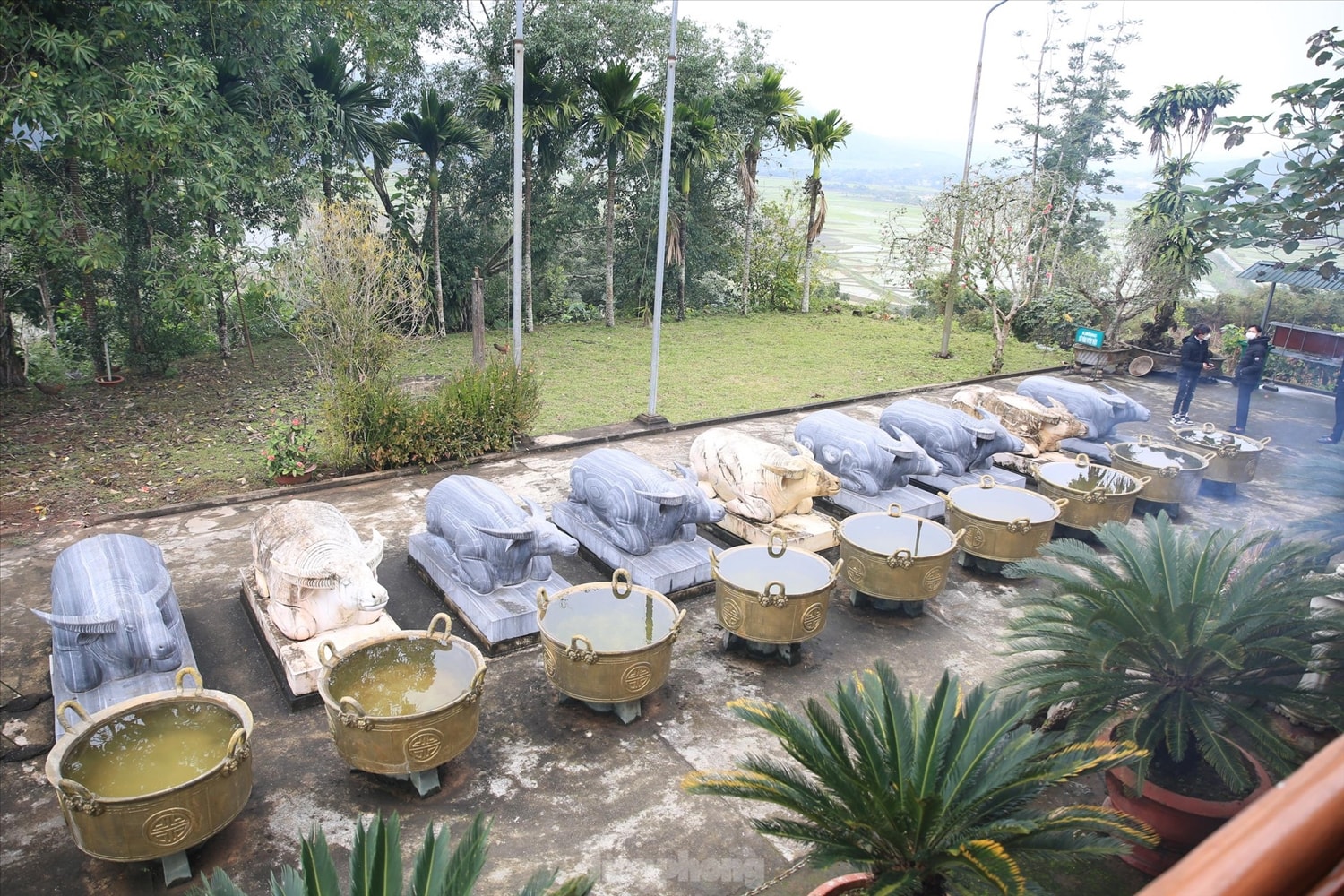 9 con trâu trước đền tượng trưng cho chín bản mười mường 9 con trâu trước đền tượng trưng cho chín bản mười mường