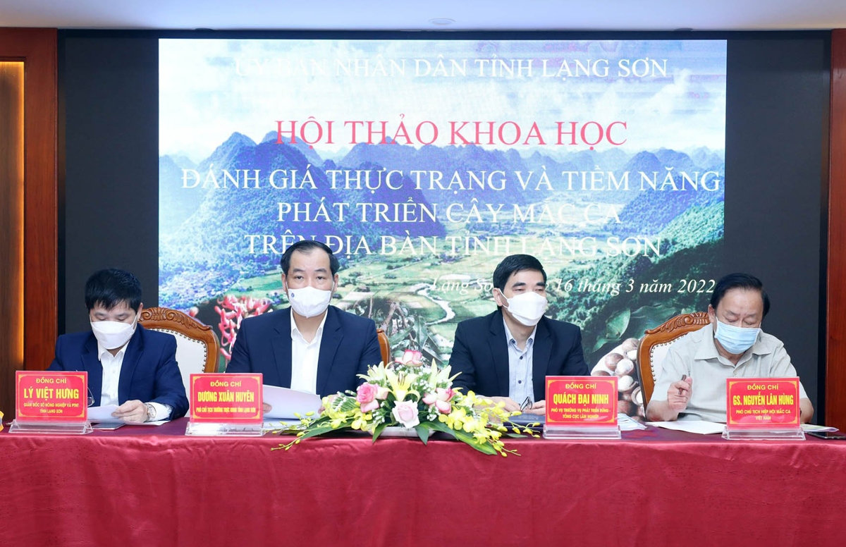 Các đại biểu dự Hội thảo