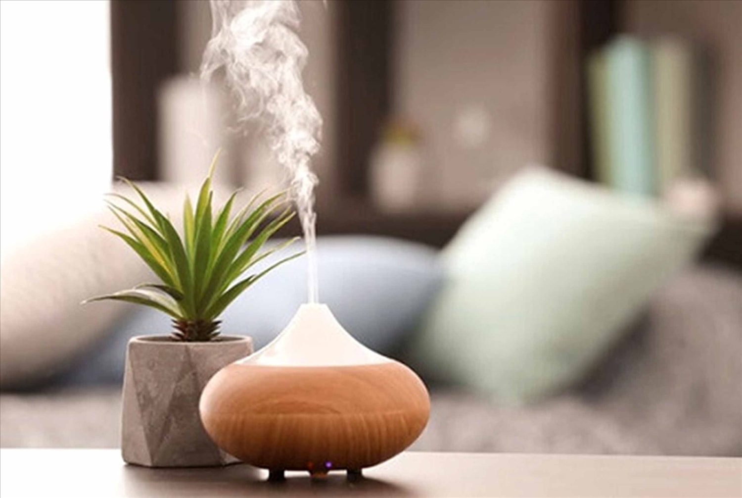 Máy xông mini cầm tay, máy khuếch tán tinh dầu được chào giá từ vài chục đến vài triệu đồng Máy xông mini cầm tay, máy khuếch tán tinh dầu được chào giá từ vài chục đến vài triệu đồng