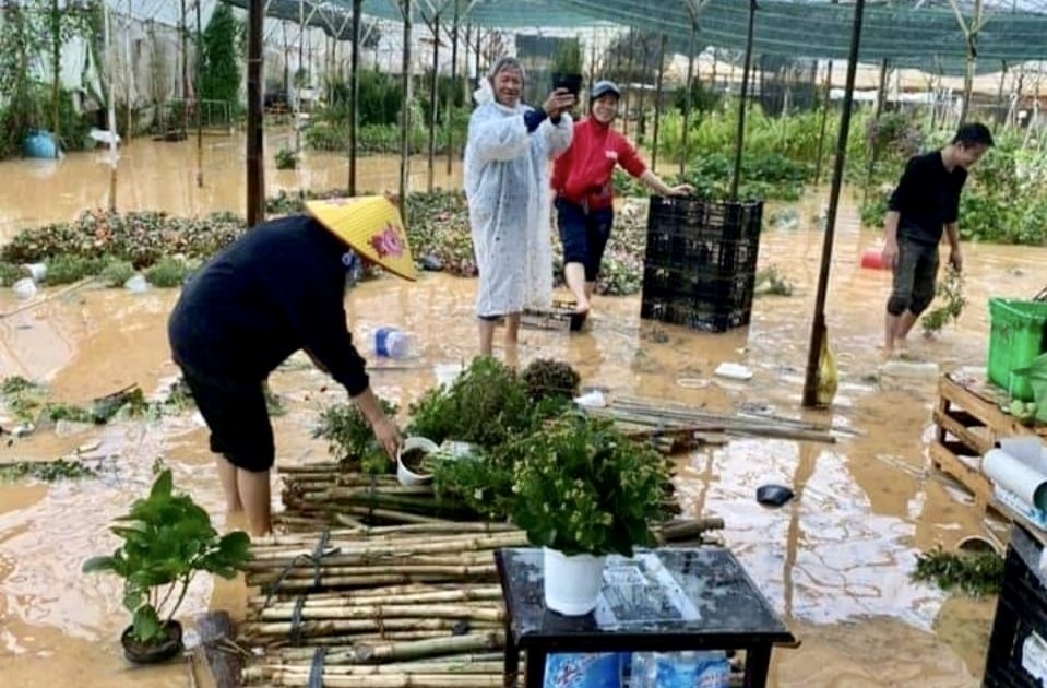 Mưa đá chiều ngày 27/3, gây thiệt hại trên 10ha hoa màu, nhà kính của người dân