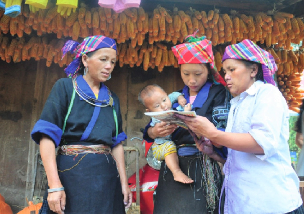 Ảnh minh họa