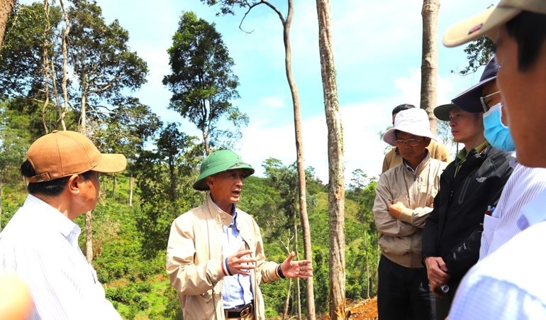  Chủ tịch UBND tỉnh Lâm Đồng (đội mũ cối xanh) kiểm tra thực tế vụ phá rừng tại Tiểu khu 613, xã Lộc Phú, huyện Bảo Lâm