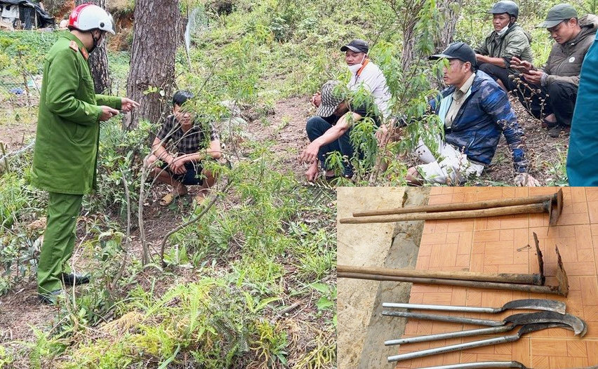 Hiện trường bắt giữ 5 đối tượng phá rừng và tang vật của vụ phá rừng, lấn chiếm đất (ảnh nhỏ)