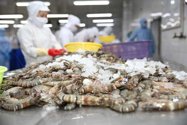 Dự báo xuất khẩu tôm tăng 20% trong tháng 4