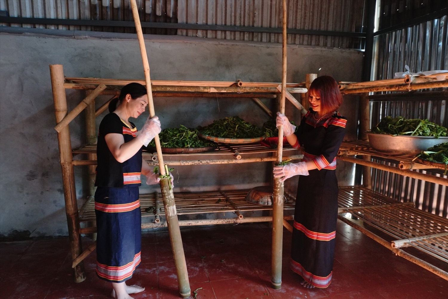Sau khi phơi, cải sẽ được nhồi vào ống lồ ô để ủ