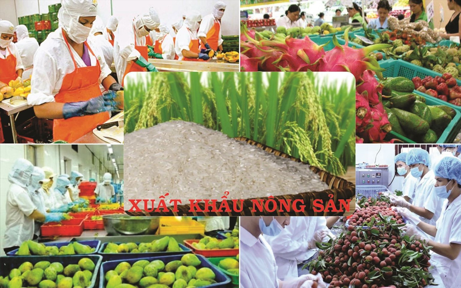 Chiến lược xuất khẩu giai đoạn 2021-2030 hướng đến xuất khẩu bền vững