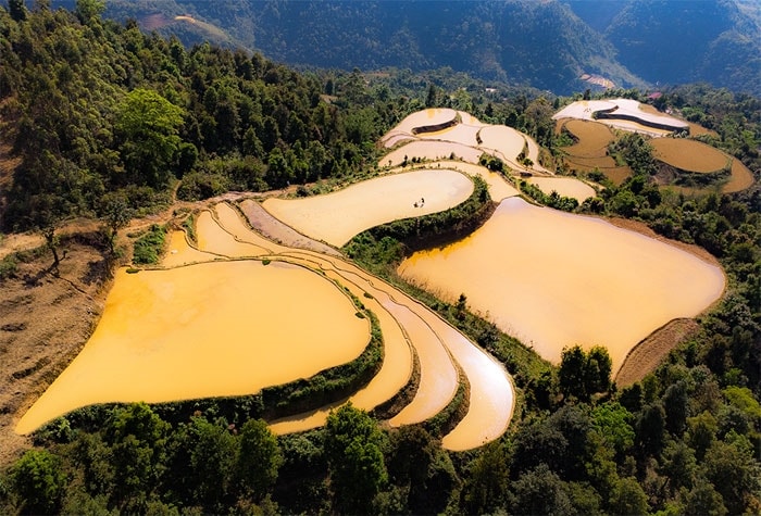 Ruộng bậc thang mùa nước đổ tạo cho Mẫu Sơn một bức tranh sinh hoạt lao động tuyệt đẹp mà vẫn rất gần gũi bình dị