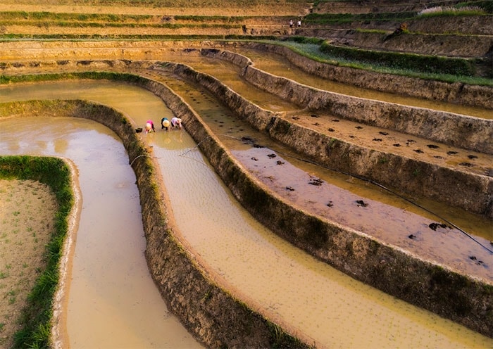 Chiêm ngưỡng ruộng bậc thang Mẫu Sơn mùa nước đổ 5