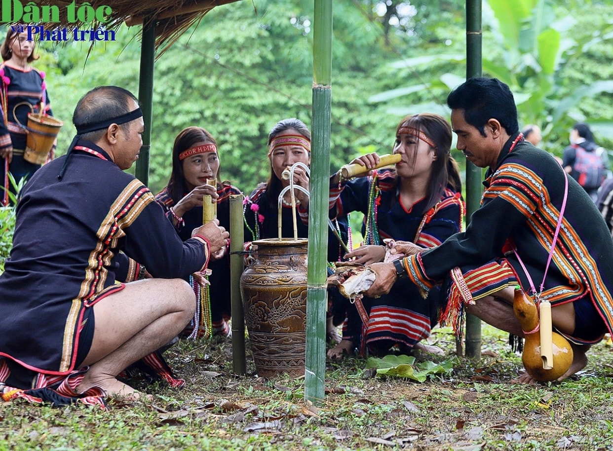 Mọi người cùng nhau uống rượu