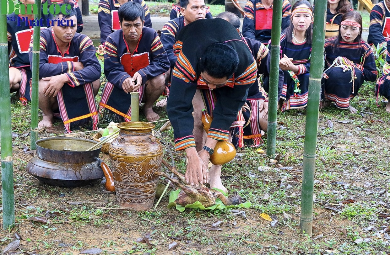 Lễ cúng tại rẫy lúa bao gồm 1 chén rượu và 1 con gà. Động tác 7 lần chạm vào chén rượu là động tác dâng lễ và cầu khấn 7 vị thần (thần đất, thần trời, thần nước, thần nuôi dưỡng, thần che chở, thần bảo vệ, thần lúa) cho những giống lúa đã trồng của gia đình  tốt tươi, mau chín, thơm ngon