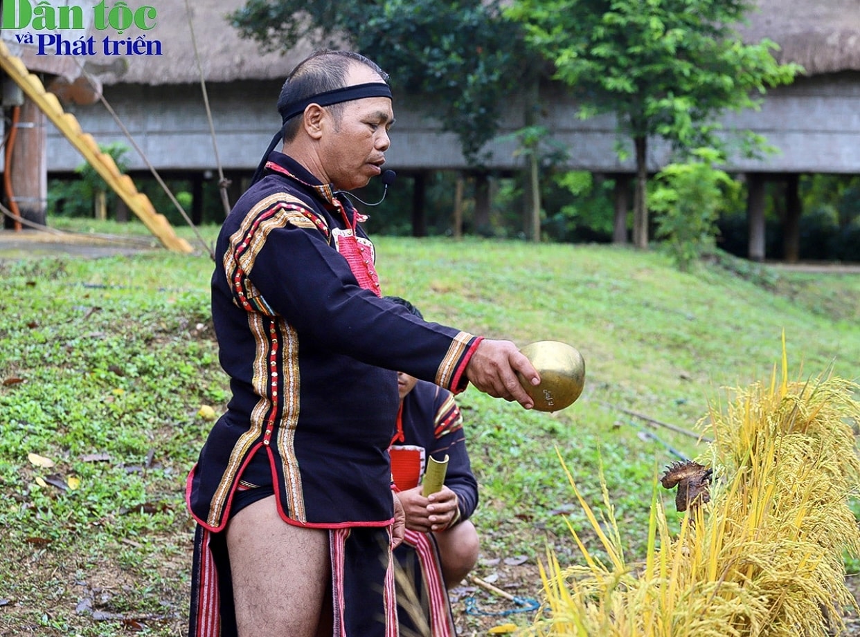 Tiếp theo đến phần lễ cúng mừng lúa mới tại chòi lúa: lễ vật gồm 01 chóe rượu, 01 đầu gà. Sau khi dâng lễ xong thì mời mọi người trong gia đình uống rượu