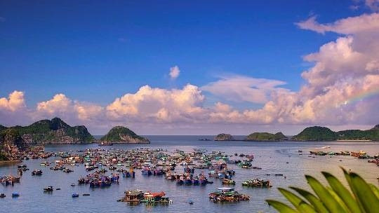 Làng chài trên biển Cát Bà