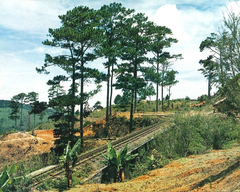 Khung cảnh thiên nhiên tuyệt đẹp dọc tuyến đường sắt Phan Rang - Đà Lạt Khung cảnh thiên nhiên tuyệt đẹp dọc tuyến đường sắt Phan Rang - Đà Lạt