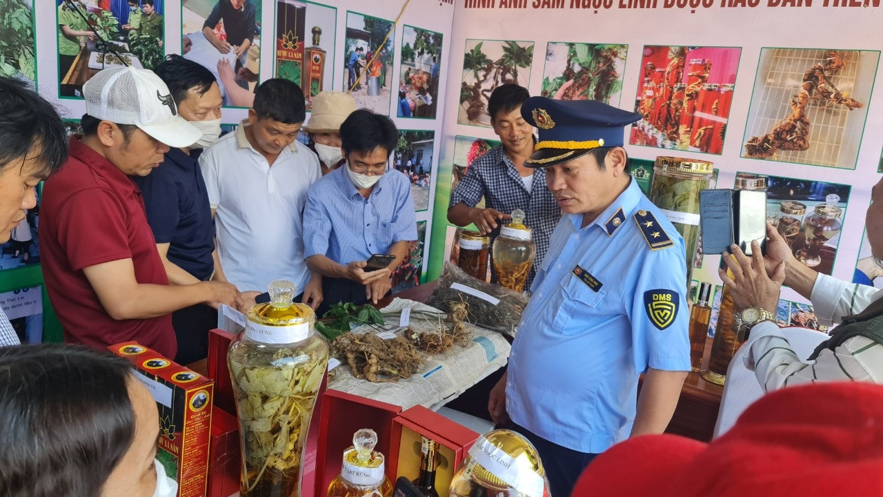 Du khách tham quan Phiên chợ và trải nghiệm Sâm Ngọc Linh 