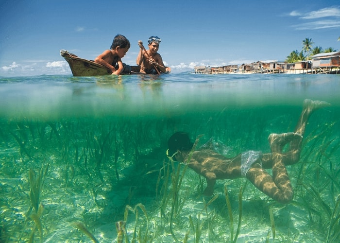 Trẻ em người Bajau  học lặn từ lúc mới lên ba tuổi