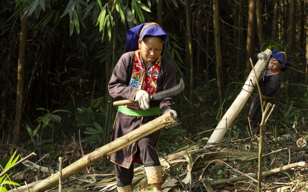 Đảm đang Đảm đang