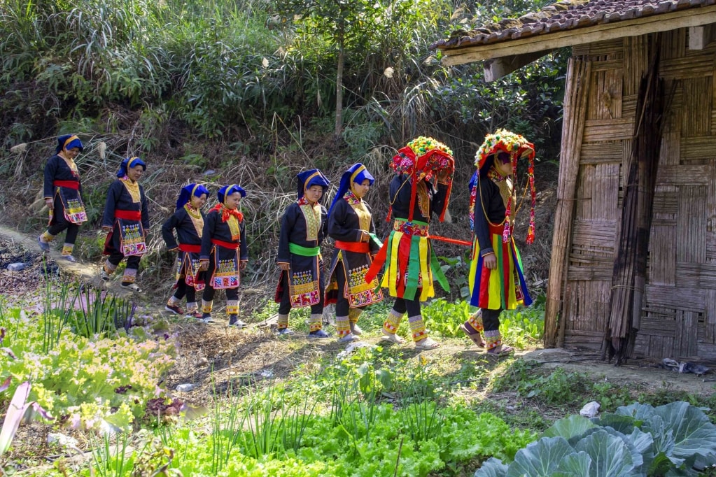 Đưa dâu Đưa dâu