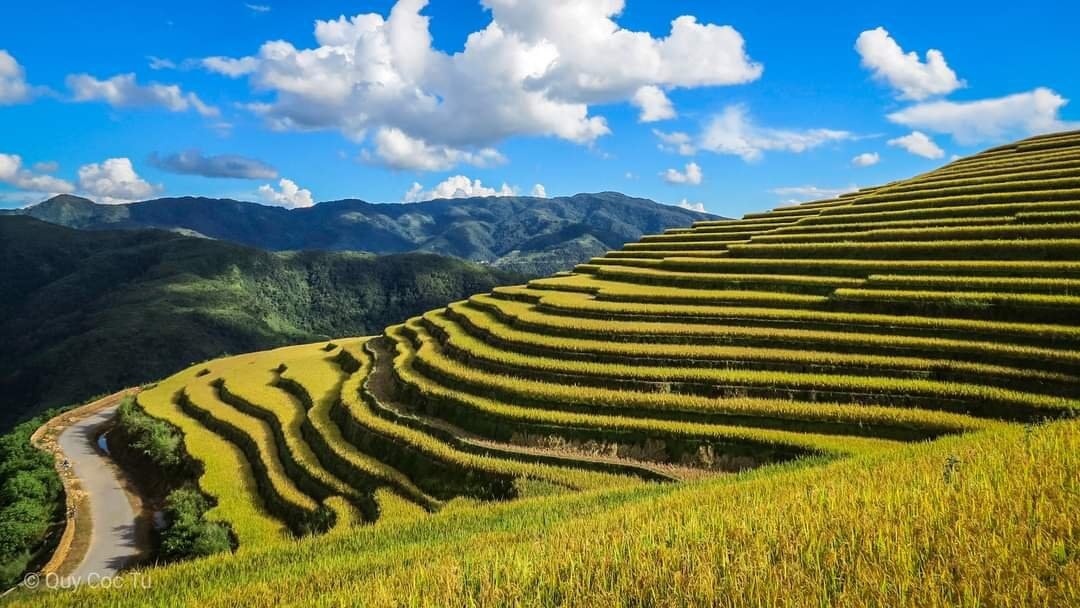 Đẹp nao lòng ruộng bậc thang ở xã Thu Lũm, huyện Mường Tè vào mùa lúa chín Đẹp nao lòng ruộng bậc thang ở xã Thu Lũm, huyện Mường Tè vào mùa lúa chín