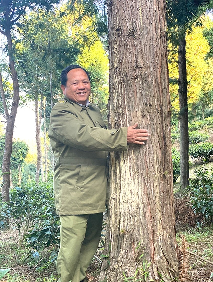 Ông Vừ Vả Chống bên cây pơ mu cổ thụ