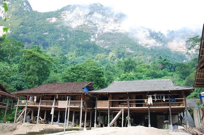 Nhà sàn của người Tày ở bản Pác Ngòi được xây dựng bằng bốn đến bảy hàng cột tạo thành hai khu vực chính. Phần phía trên là nơi tiếp khách, bếp, nơi ở, phía dưới sàn là nơi nuôi gia cầm cũng là kho lưu giữ nông cụ. 