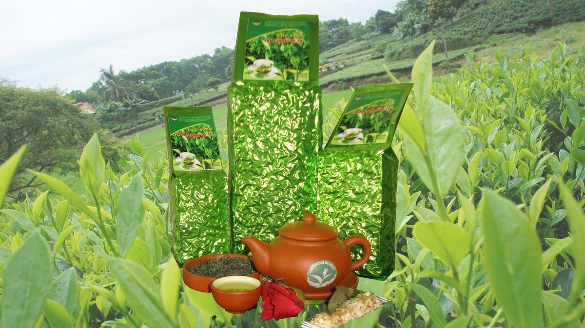 Tính đến nay, nhãn hiệu tập thể “Chè Thái Nguyên” đã chính thức được bảo hộ tại 6 quốc gia trên thế giới Tính đến nay, nhãn hiệu tập thể “Chè Thái Nguyên” đã chính thức được bảo hộ tại 6 quốc gia trên thế giới