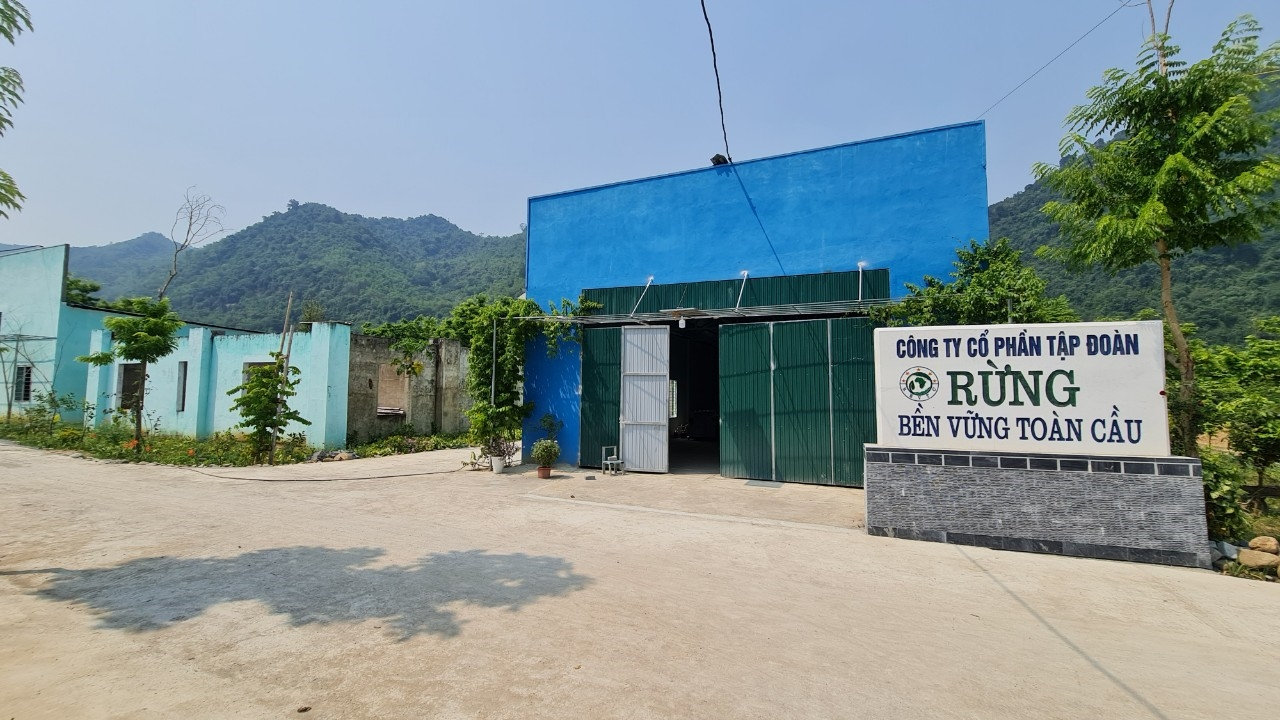 Nhà máy liên hiệp chế biến gỗ xuất khẩu rừng bền vững Toàn Cầu tại xã Trung Hạ, huyện biên giới Quan Sơn sau 10 năm vẫn chưa hoàn thành Nhà máy liên hiệp chế biến gỗ xuất khẩu rừng bền vững Toàn Cầu tại xã Trung Hạ, huyện biên giới Quan Sơn sau 10 năm vẫn chưa hoàn thành