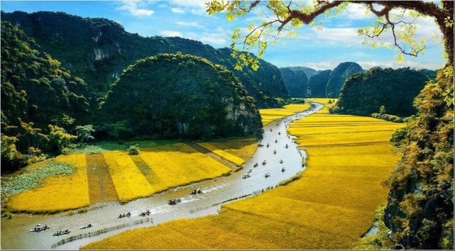 Tuần du lịch 