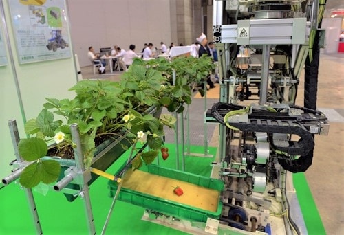 Một mẫu robot thu hoạch dâu của Nhật Bản.