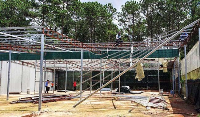 Lực lượng chức năng tháo dỡ nhà kính, nhà lưới dựng trái phép Lực lượng chức năng tháo dỡ nhà kính, nhà lưới dựng trái phép