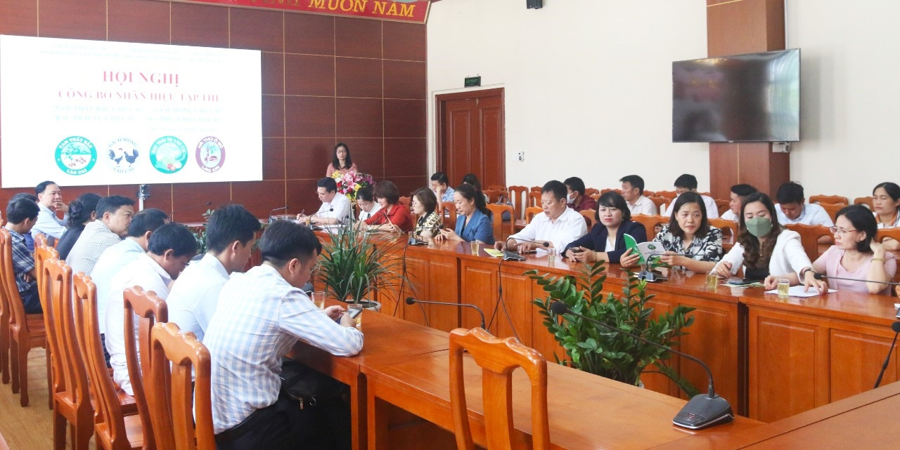 Quang cảnh hội nghị Quang cảnh hội nghị