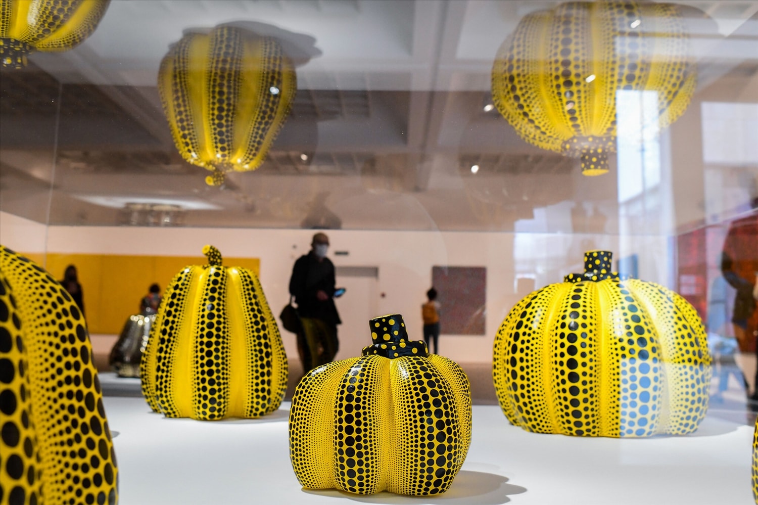 Triển lãm bí ngô chấm bi màu vàng và đen của nghệ sĩ Nhật Bản Yayoi Kusama tại Bảo tàng Nghệ thuật Tel Aviv Triển lãm bí ngô chấm bi màu vàng và đen của nghệ sĩ Nhật Bản Yayoi Kusama tại Bảo tàng Nghệ thuật Tel Aviv