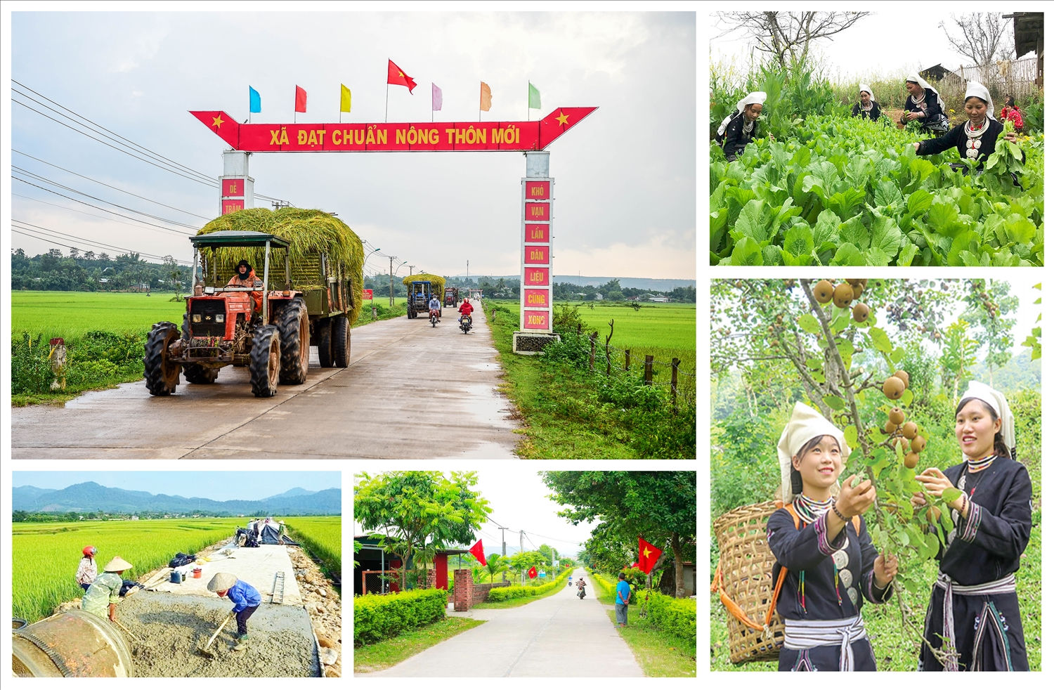 Tổ chức thực hiện phong trào thi đua 