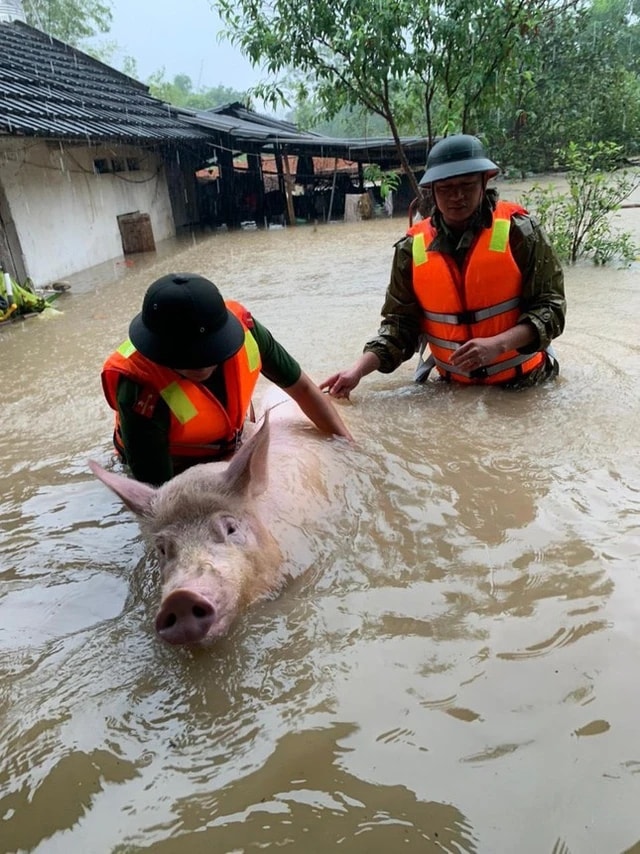 Vĩnh Phúc: Mưa lớn gây ngập úng tại nhiều địa bàn trong tỉnh 5