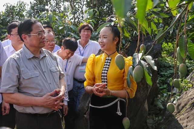 Người dân giới thiệu với Thủ tướng mô hình trồng xoài hữu cơ - Ảnh: VGP/Nhật Bắc