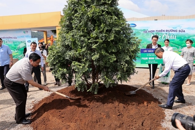 Thủ tướng Phạm Minh Chính cùng các đại biểu trồng cây lưu niệm tại dự án Thiên đường sữa - Ảnh: VGP/Nhật Bắc Thủ tướng Phạm Minh Chính cùng các đại biểu trồng cây lưu niệm tại dự án Thiên đường sữa - Ảnh: VGP/Nhật Bắc