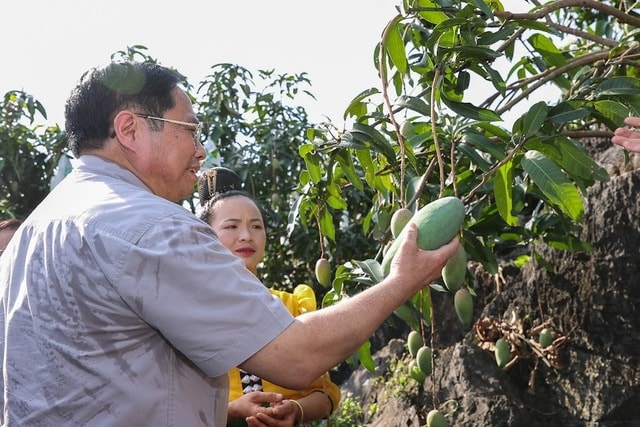 Việc Sơn La 