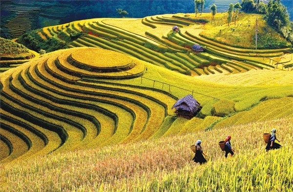 Phát triển kinh tế cửa khẩu, du lịch, đẩy mạnh trồng rừng, phát triển kinh tế lâm nghiệp bền vững